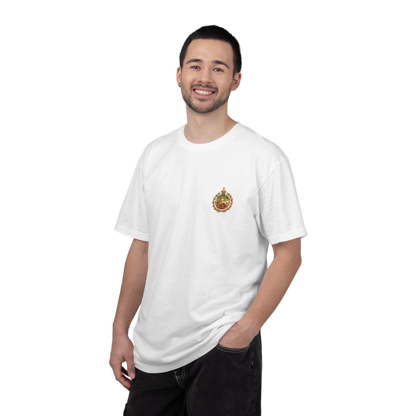 Lion and Sun T-Shirt - Shiro Khorshid Tee - Persian Iran Flag Unisex Shirt