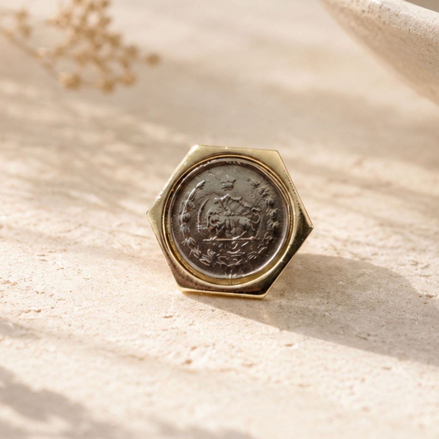 Hexagonal gold lion and sun coin 